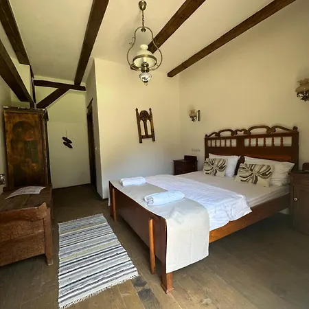 Castle View - Traditional Kwatera prywatna Saschiz